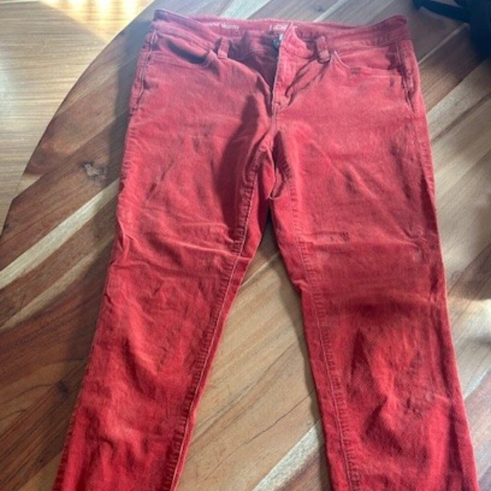 Ann Taylor super skinny cropped pant